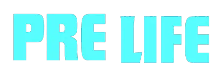 PRE LIFE — Segurança do Trabalho